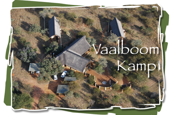 Vaalboom Kamp